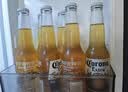 科罗娜（CORONA）特级啤酒330ml*24瓶整箱经典拉格京东自营 实拍图