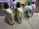 滴露（Dettol）衣物消毒液除菌松木3L 衣服消毒水99.9%杀菌除螨内衣裤 实拍图