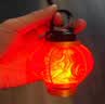 莱德雷神（LED LENSER）德国ML4露营灯小夜灯超长续航户外便携徒步登山应急灯家用氛围灯 ML4暖光【月球灯罩+灯笼灯罩】 实拍图