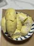A级进口金枕鲜榴莲1粒约3kg(2-3kg) 实拍图