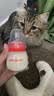 拜达尔宠物猫咪狗狗奶瓶新生幼猫幼犬专用喂奶食品级硅胶奶嘴防呛奶60ml 实拍图