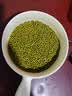 东北精选新薄皮新鲜豆绿豆2-5斤易煮易出沙发芽农家新绿豆汤解暑 精选绿豆 50g*1袋 体验装 实拍图