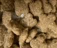 皇家狗粮 成犬狗粮 犬粮 宠物小型犬 PR27 全价犬粮≥10月2KG 实拍图