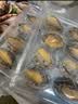 灵略鲜冻大鲍鱼净重500g10-12粒 盒装鲍鱼火锅烧烤贝类海鲜生鲜 实拍图
