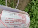 八道水黄庄月饼手工酥皮伍仁月饼420g正宗河北特产休闲零食糕点源头直发 实拍图