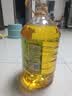 金龙鱼 食用油 非转基因 物理压榨玉米油6.18L（蕴含植物甾醇） 实拍图