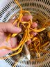 煲汤菌菇组合（舞茸+黑鸡枞菇+虫草花）150g 实拍图