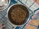 好主人猫条猫咪零食 喵舔酱火腿肠猫罐头白肉汤罐成猫幼猫通用营养开胃 10g*10条喵舔酱 实拍图