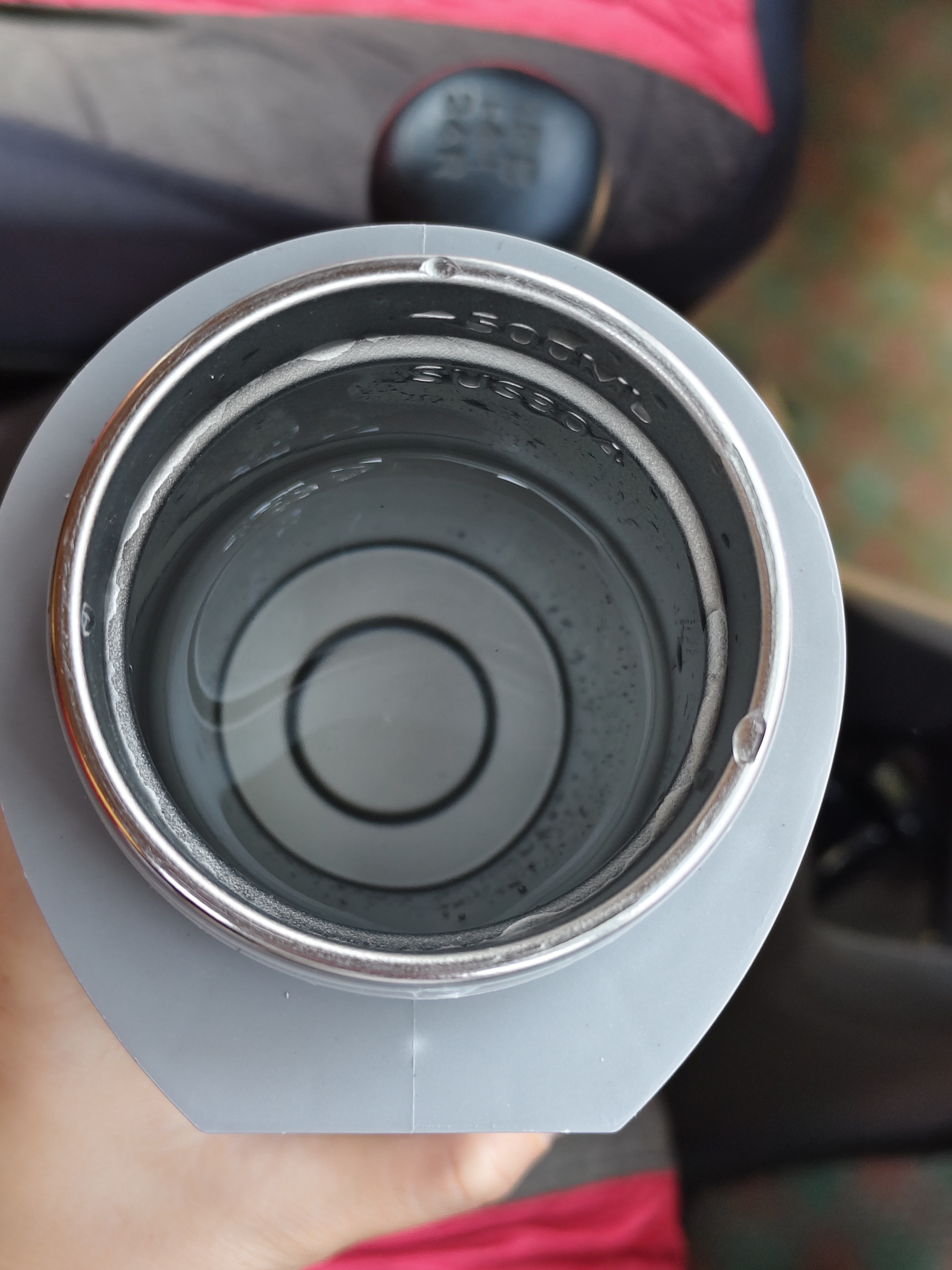 恩柏盛便携烧水杯车载12V/24V通用电加热水壶100度保温杯冲奶户外恒温杯 实拍图