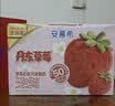伊利安慕希丹东草莓风味酸奶230g*10瓶  礼盒装 实拍图