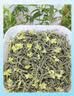 碧潭飘雪茉莉花茶 峨眉山茶一级100g 袋装新品茶叶自己喝36008 实拍图