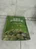 甘源牌蒜香翡翠绿心蚕豆100g云南保山蚕豆片瓣休闲食品小吃零食坚果炒货 实拍图