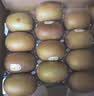佳沛（zespri）金奇异果25-27粒原箱特大果124-146g猕猴桃水果礼盒 实拍图