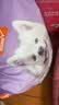 比瑞吉狗粮小型犬中大型犬爱不将就系列狗粮冻干三拼鸭肉梨通用犬粮10kg 实拍图