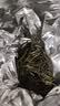 天旭茶叶绿茶雀舌特级四川毛尖2026新茶春茶明前嫩芽高山云雾茶250g 实拍图