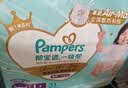 帮宝适新一级帮拉拉裤L+31【全裤散热】超薄透气速干防漏婴儿尿不湿尿裤 实拍图