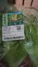 云南鲜生菜约400g 实拍图