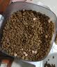 霍曼（Homerun）Real智能自动喂食器猫粮定时猫猫咪自动投食机PF20（不锈钢碗） 实拍图