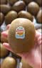 佳沛（zespri）金奇异果25-27粒原箱特大果124-146g猕猴桃水果礼盒 实拍图