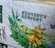 伊利【新鲜日期】金典纯牛奶200ml*24盒3.6g乳蛋白礼盒装 实拍图