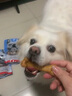 亚禾（YaHo）狗狗磨牙棒宠物狗零食幼犬狗骨头泰迪金毛中大型犬耐咬洁齿棒 牛奶味250g 实拍图