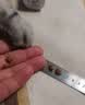 澳龙泌尿道处方粮澳龙处方粮稀释尿液情绪舒缓成幼猫泌尿道猫粮1.2kg 实拍图