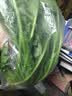 大菠菜300g 实拍图
