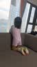 361°儿童泳衣女中小童连体短袖短裤夏季泳装专业学游泳快干温泉游泳衣 实拍图
