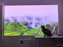 极米（XGIMI）Z9X 4K 高亮版 升级1600CVIA 轻薄4K光学变焦三色激光投影 家用投影仪办公会议无线投屏国家补贴 实拍图