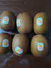 佳沛（zespri）新西兰金奇异果15粒巨大果146-175g猕猴桃水果礼盒 实拍图