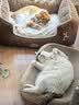 皇家猫粮 成猫猫粮 户外成猫 O30 通用粮 12月以上 4KG 实拍图