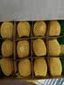 佳沛（zespri）新西兰金奇异果12粒特大果124-146g猕猴桃水果礼盒 实拍图