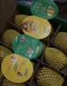 佳沛（zespri）新西兰金奇异果12粒特大果124-146g猕猴桃水果礼盒 实拍图