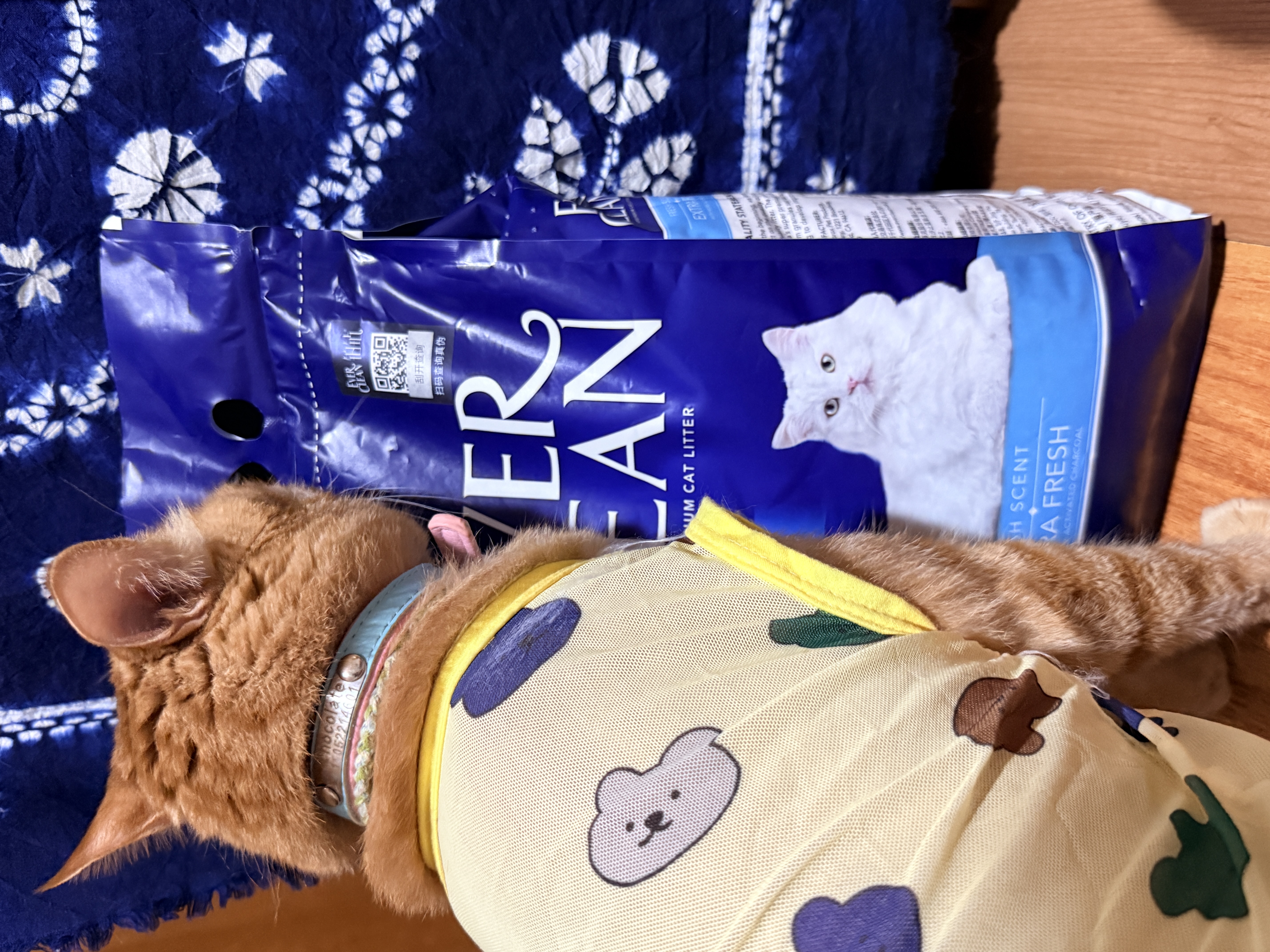 铂钻（EverClean）除臭低尘膨润土宠物用品矿砂猫砂（蓝标微香） 4.2kg 实拍图