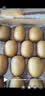 佳沛（zespri）新西兰金奇异果22粒巨大原箱146-175g猕猴桃水果礼盒 实拍图