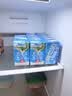 维他奶原味豆奶植物蛋白饮料250ml*16盒 营养早餐 礼盒装 实拍图