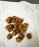 皇家猫粮 英短成猫粮 BS34 通用粮 12月以上 2KG 实拍图