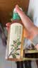 农夫山泉东方树叶陈皮白茶500ml*15瓶无糖茶饮料0糖0脂0卡整箱 实拍图