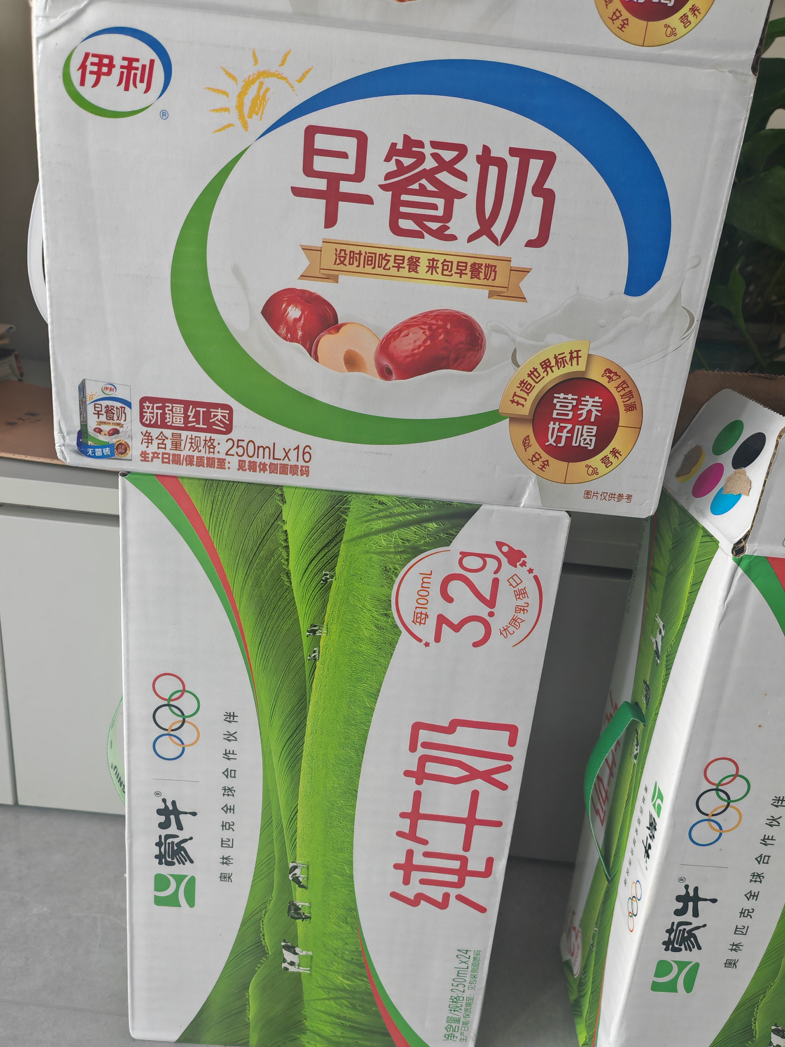 伊利早餐奶 新疆红枣250ml*16盒*1箱 礼盒装 实拍图