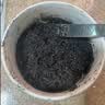 十月稻田 熟黑芝麻 500g 开罐即食 可打芝麻粉芝麻糊 五谷杂粮 实拍图
