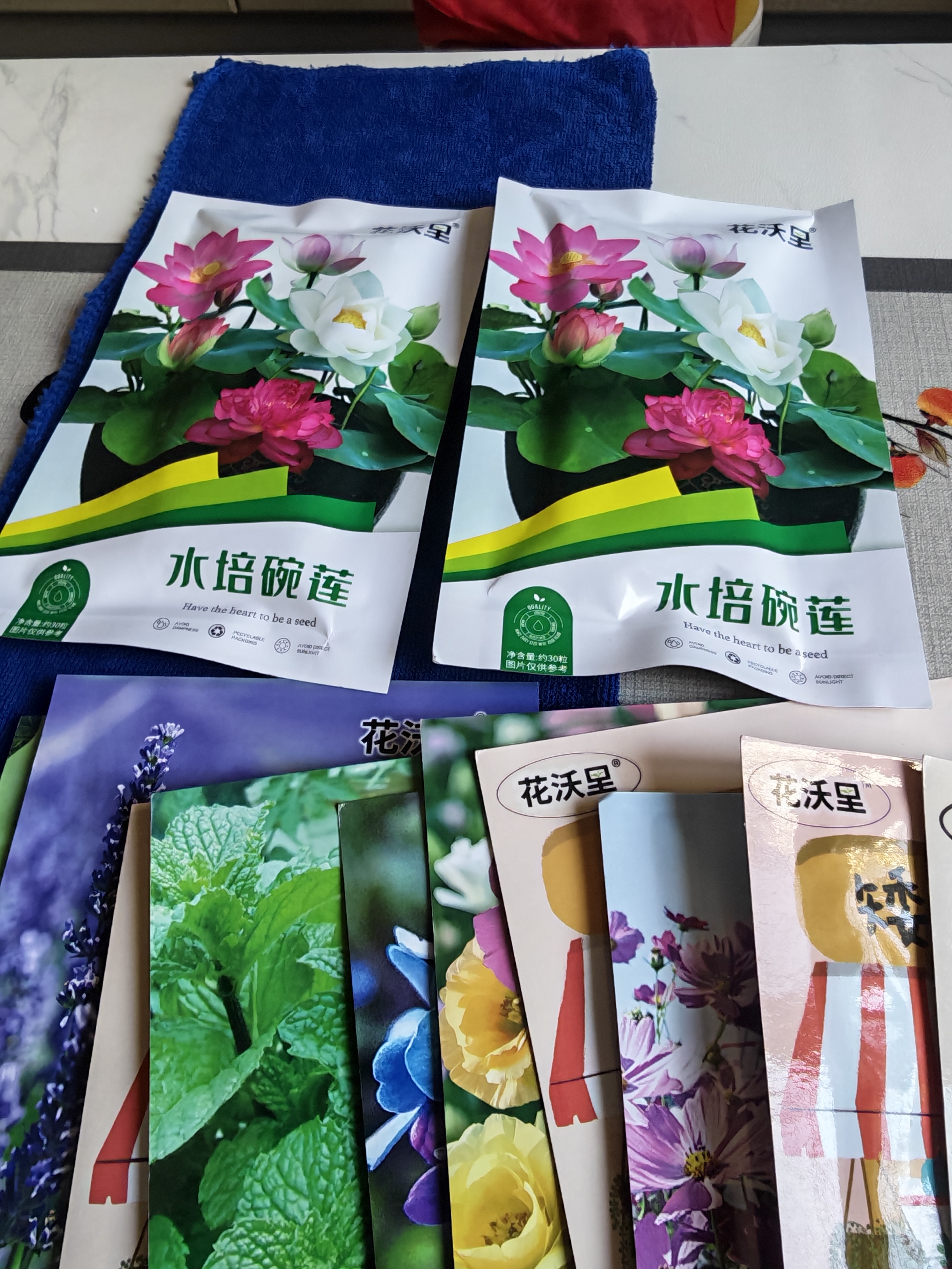 花沃里12款花种子大全 花卉种子组合太阳花凤仙花向日葵四季种野花种籽 实拍图