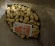 三只松鼠龙岩花生400g/袋 坚果炒货办公室宿舍休闲零食聚会特产小吃 实拍图
