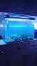 LED全光鱼缸灯同款水族箱鱼缸照明灯架水草灯增艳发色灯神灯节能 12瓦蓝白光48cm（适合50-60cm鱼缸） 四排灯珠 实拍图