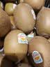 佳沛（zespri）新西兰 金奇异果特大果15粒134-146g猕猴桃水果礼盒 实拍图