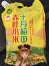 十月稻田 赤峰小米 5斤 内蒙古敖汉 小米黄小米 杂粮米 早餐小米粥 实拍图