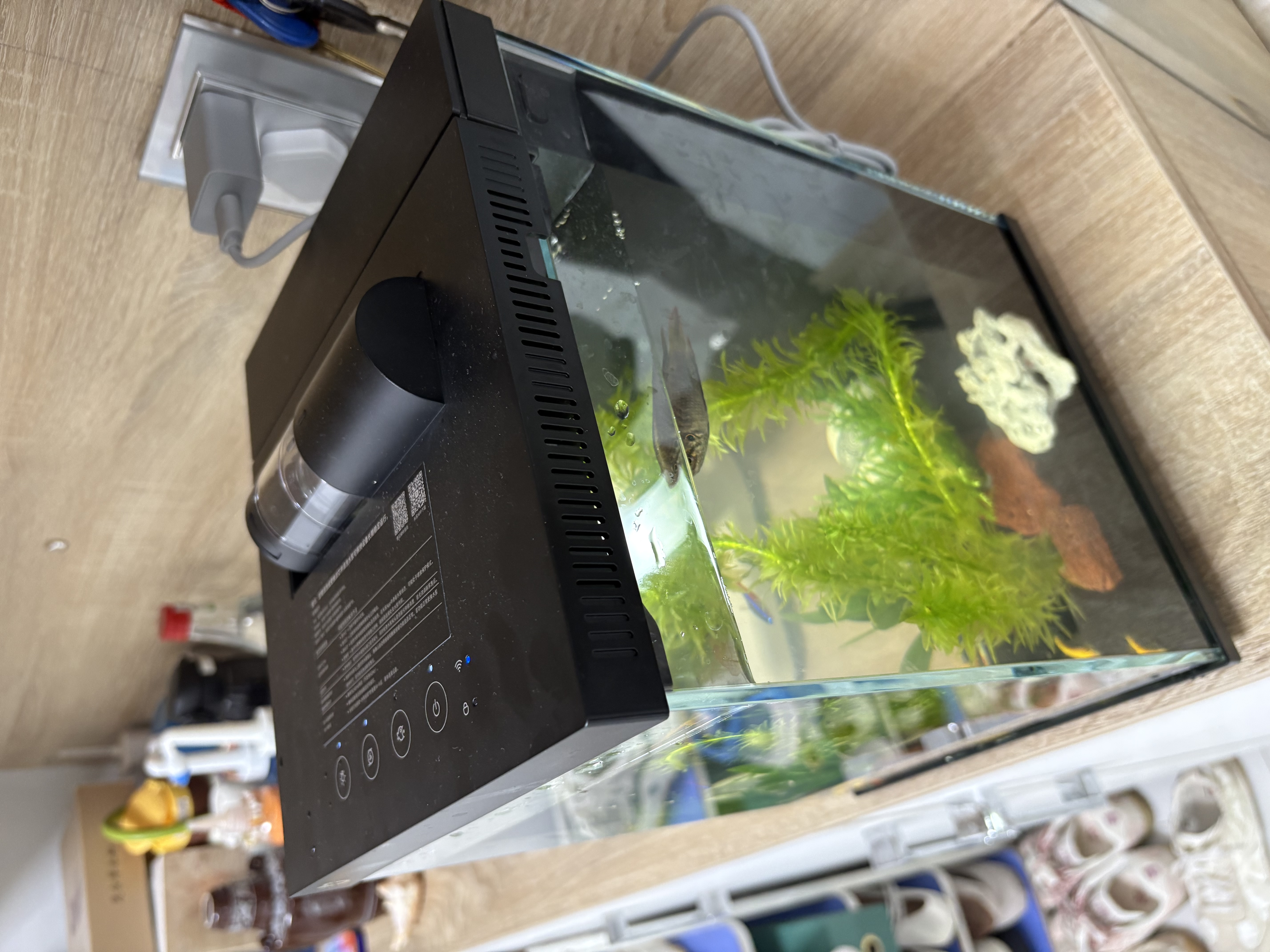 疯狂水草鱼缸造景 鱼缸专用水草 火山石蜈蚣草九冠水草鹿角茸源头直发包邮 实拍图