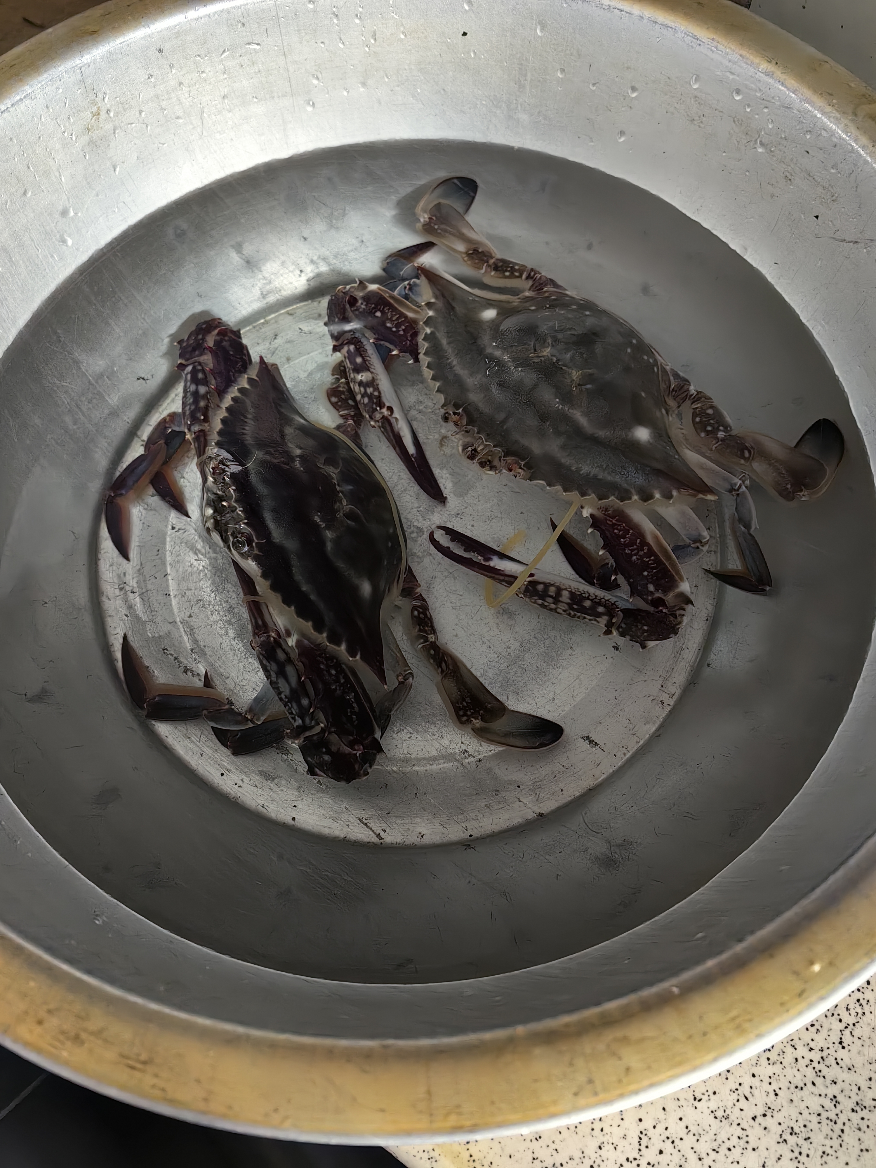 鲜活梭子蟹150-200g/只 实拍图