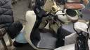 新日电动车72V20Ah铅酸电池100km长续航电动摩托车大功率电摩通勤代步电瓶车丽曼5.0 72V-本彩椰蓝 实拍图