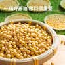 水塔老陈醋6度500ml宝塔【十年陈 山西醋】家用食醋凉拌调味蘸料醋泡 实拍图