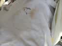 舒贝怡2件装婴儿衣服宝宝马甲春秋马夹纯棉男女童背心坎肩上衣黄色100 实拍图
